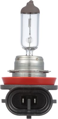 NAPA Lamps BPH11NVCN view 5