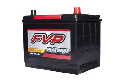 FVP Platinum Batteries P24F view 2