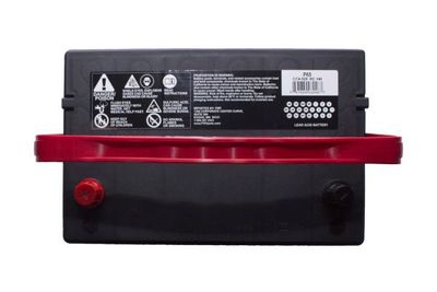 FVP Platinum Batteries P65 view 3