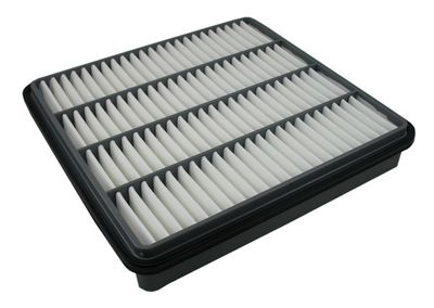 FVP Professional P9010