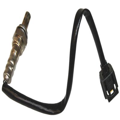 Walker Products 35034213