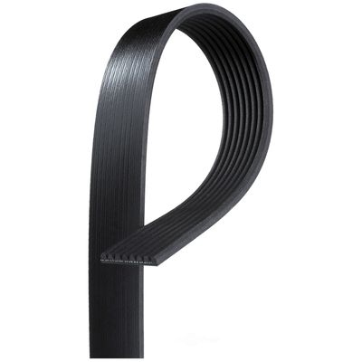 NAPA Belts/Hose 25080948