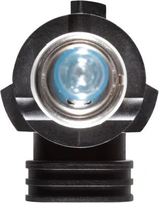 NAPA Lamps BP9005NVV2N view 14