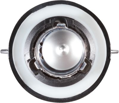 NAPA Lamps BP9008NVVN view 5