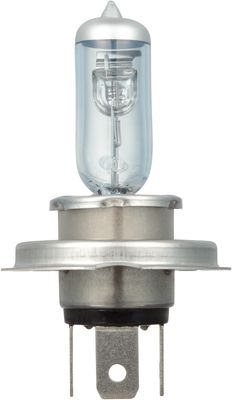 NAPA Lamps BP9003NVV2N view 6
