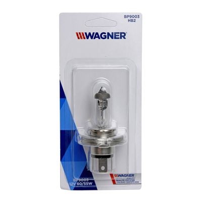 Wagner Lighting BP9003 view 2