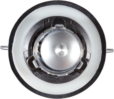 NAPA Lamps BP9008NVV2N view 8