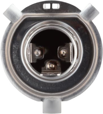 NAPA Lamps BP9003NVV2N view 10