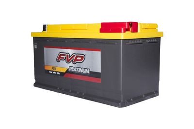 FVP Platinum Batteries P49AGM view 2