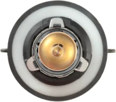 NAPA Lamps BP9008NVBN view 14