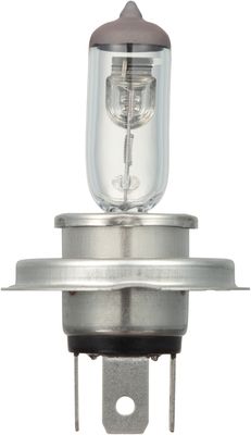NAPA Lamps BP9003NVC2N view 7