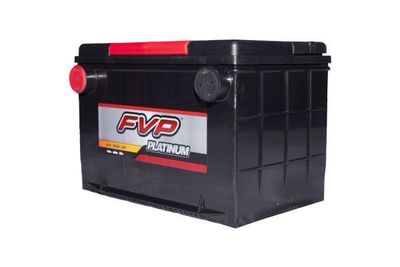 FVP Platinum Batteries P78 view 2