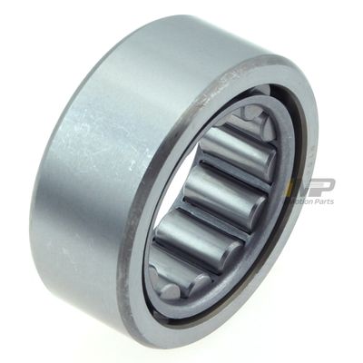 InMotion Parts WBR1561TV