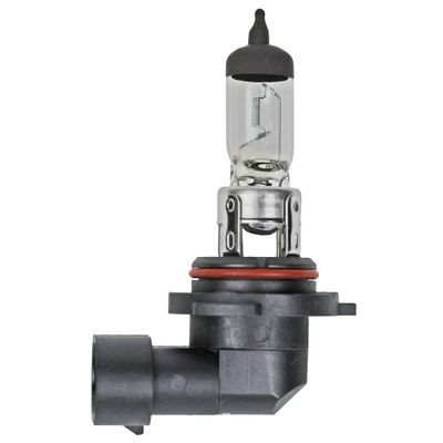 Wagner Lighting BP9006