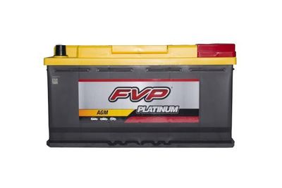 FVP Platinum Batteries P49AGM