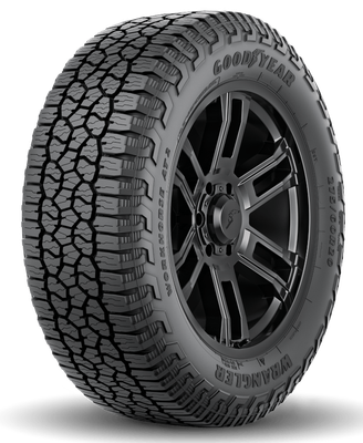 Goodyear Goodyear Wrangler Workhorse AT 2 tire