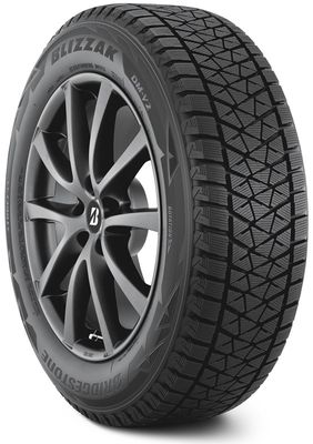 Bridgestone Bridgestone Blizzak DM-V2 tire