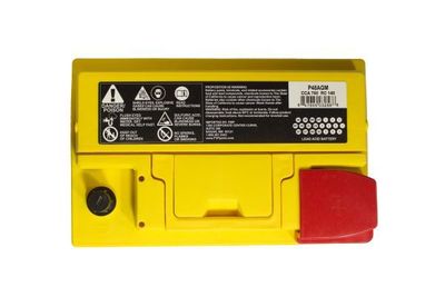 FVP Platinum Batteries P48AGM view 3