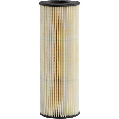Champ Filters P2062