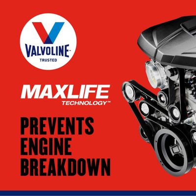 Valvoline 797976 view 5