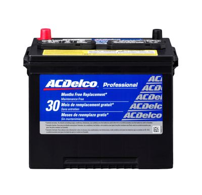 ACDelco Gold 24RPS view 6