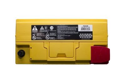 FVP Platinum Batteries P49AGM view 3