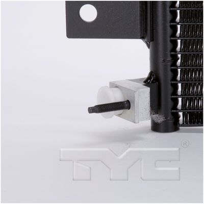 TYC 4689 view 4