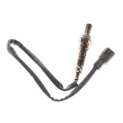 Walker Products 35034009