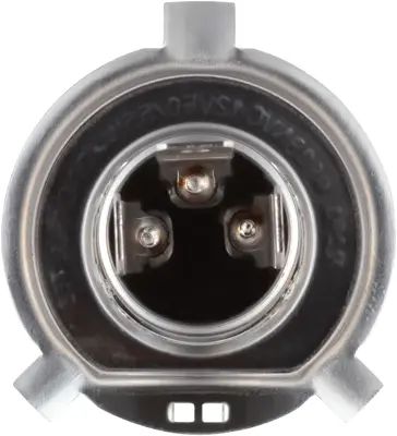 NAPA Lamps BP9003NVC2N view 14