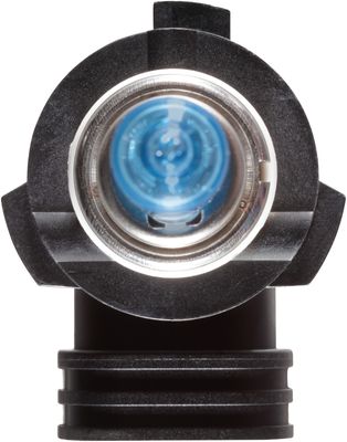 NAPA Lamps BP9005NVB2N view 6