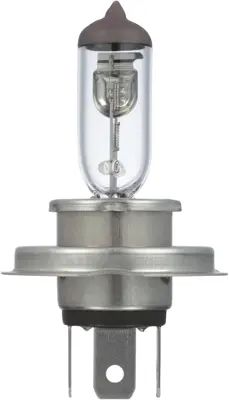 NAPA Lamps BP9003NVCN view 12
