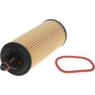 Champ Filters P1009XL