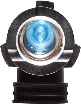 NAPA Lamps BP9005NVBN view 2