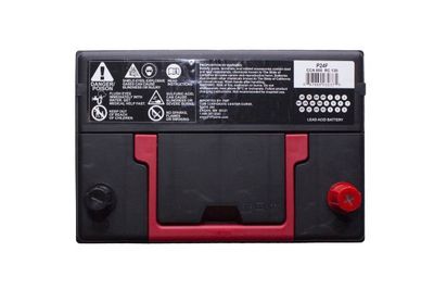 FVP Platinum Batteries P24F view 3