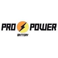 Pro Power logo