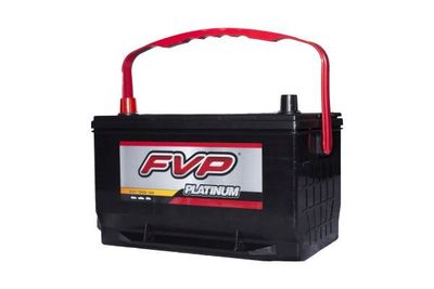 FVP Platinum Batteries P65 view 2