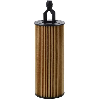 Champ Filters P1009