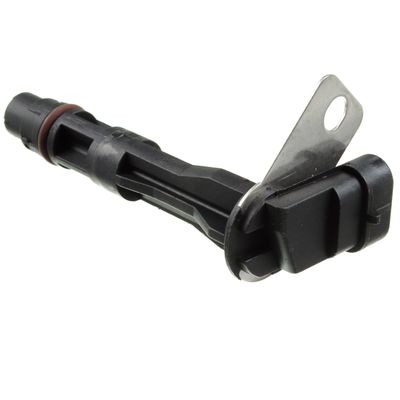 HOLSTEIN 2CAM0181