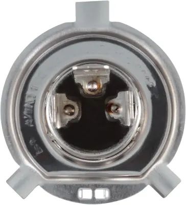 NAPA Lamps BP9003NVBN view 15