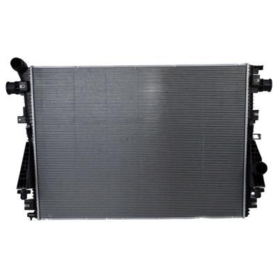 Motorcraft RAD252