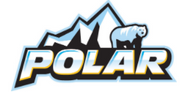 Polar logo