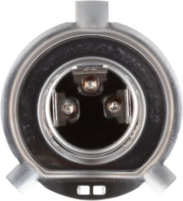 NAPA Lamps BP9003NVC2N view 8