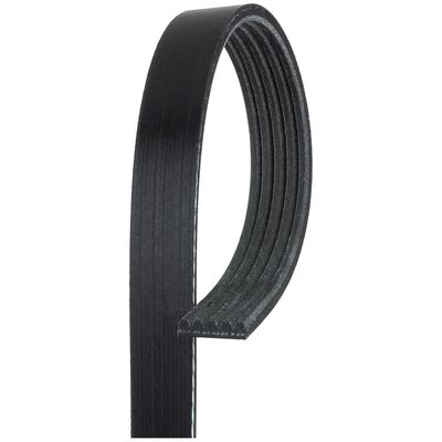NAPA Belts/Hose 25050354SF