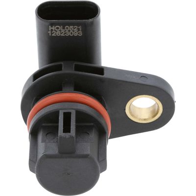 HOLSTEIN 2CAM0433