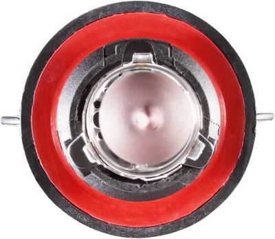 NAPA Lamps BP9008NVCN view 10