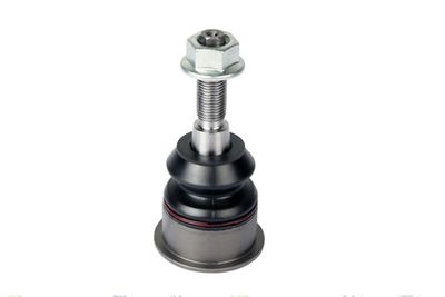 Suspensia X13BJ0043