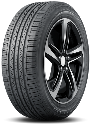 Forceland Forceland Kunimoto-F36 tire