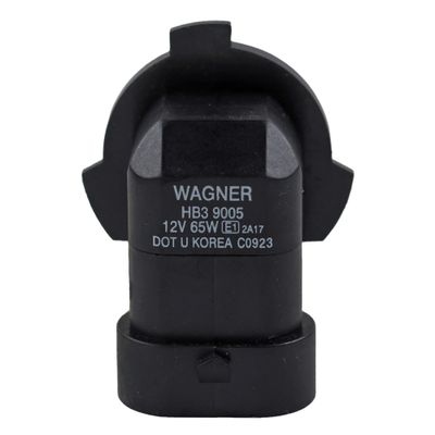 Wagner Lighting 9005 view 2