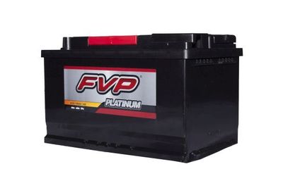 FVP Platinum Batteries P94R view 2