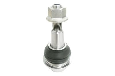 Suspensia X07BJ0336